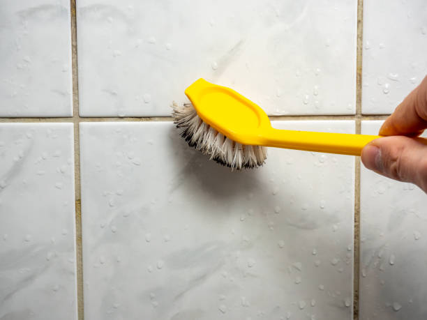 Best Mold Remediation for Schools in Logan, NM