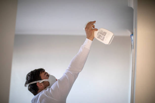 Best Commercial Mold Remediation in Logan, NM