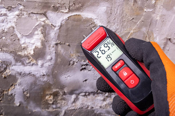 Best Commercial Mold Remediation in Logan, NM